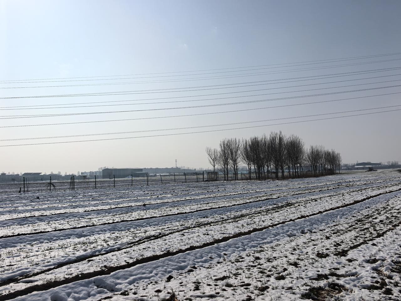 北国风光，千里冰封，万里雪飘，望长城内外惟余茫茫！