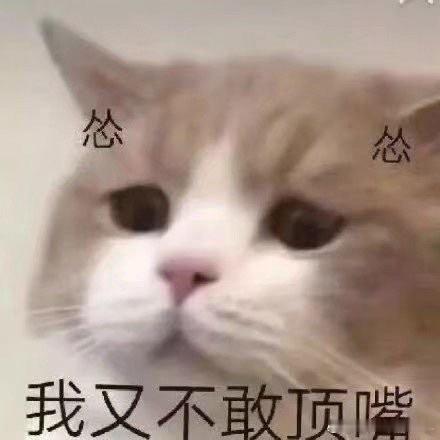 人一旦决定开始省钱本来是决定要省钱的，怎么就变成了更多的支出了？实在是让人真没招