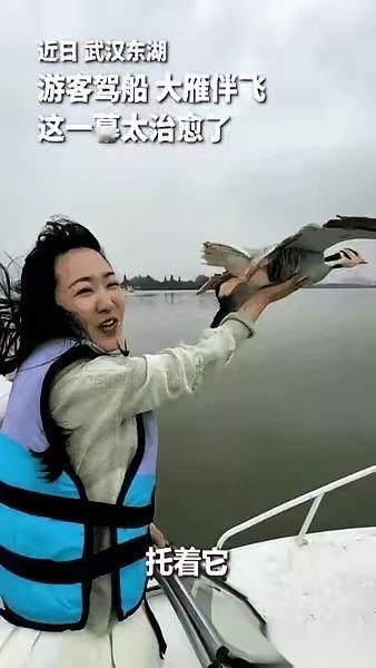 武汉严西湖女子徒手接住大雁的画面火爆全网！
登上官媒视野！
湖面孤舟之上女子全程