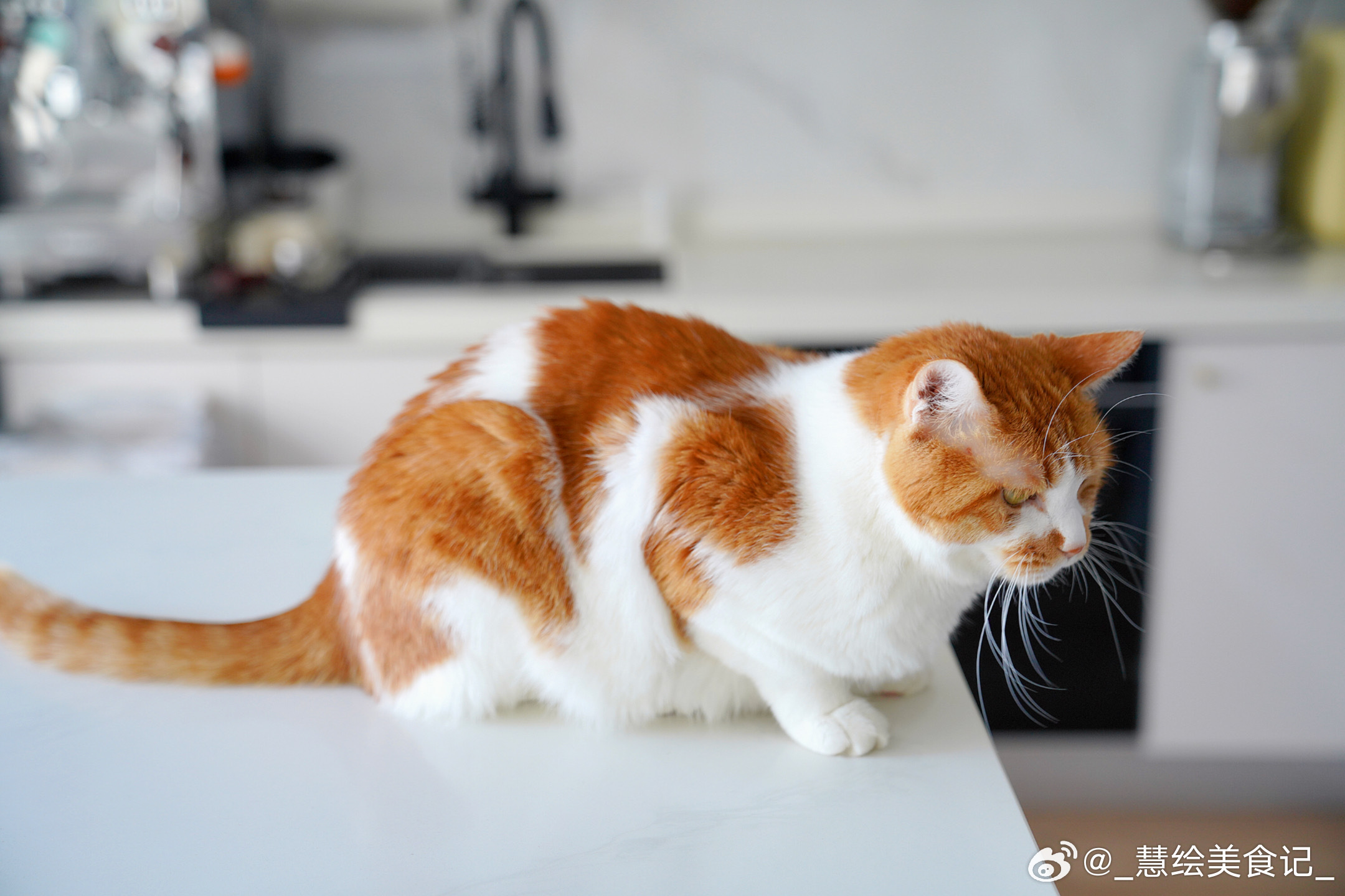 春暖花开~你好春天