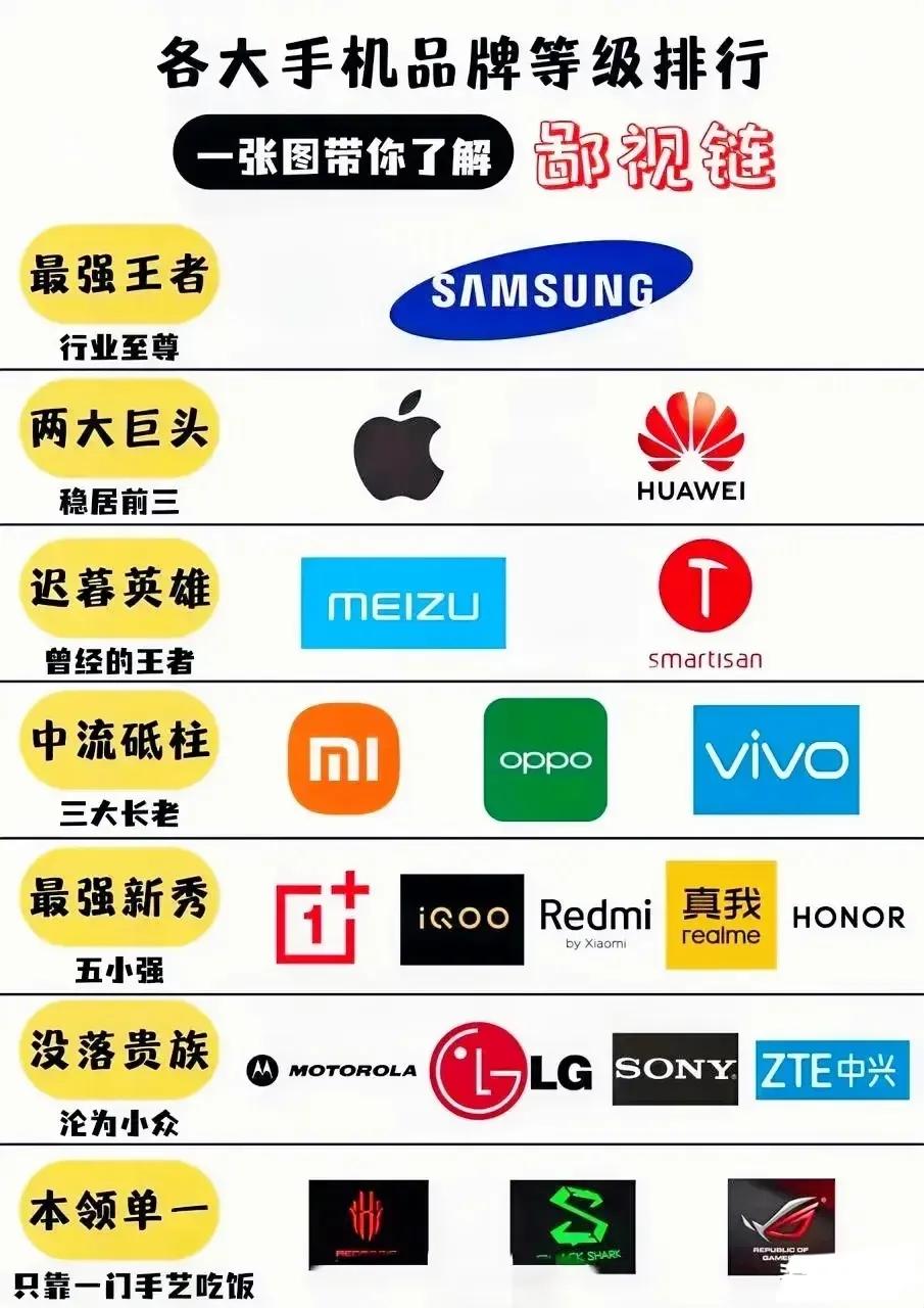 你认为这个各大品牌等级排行榜对吗？