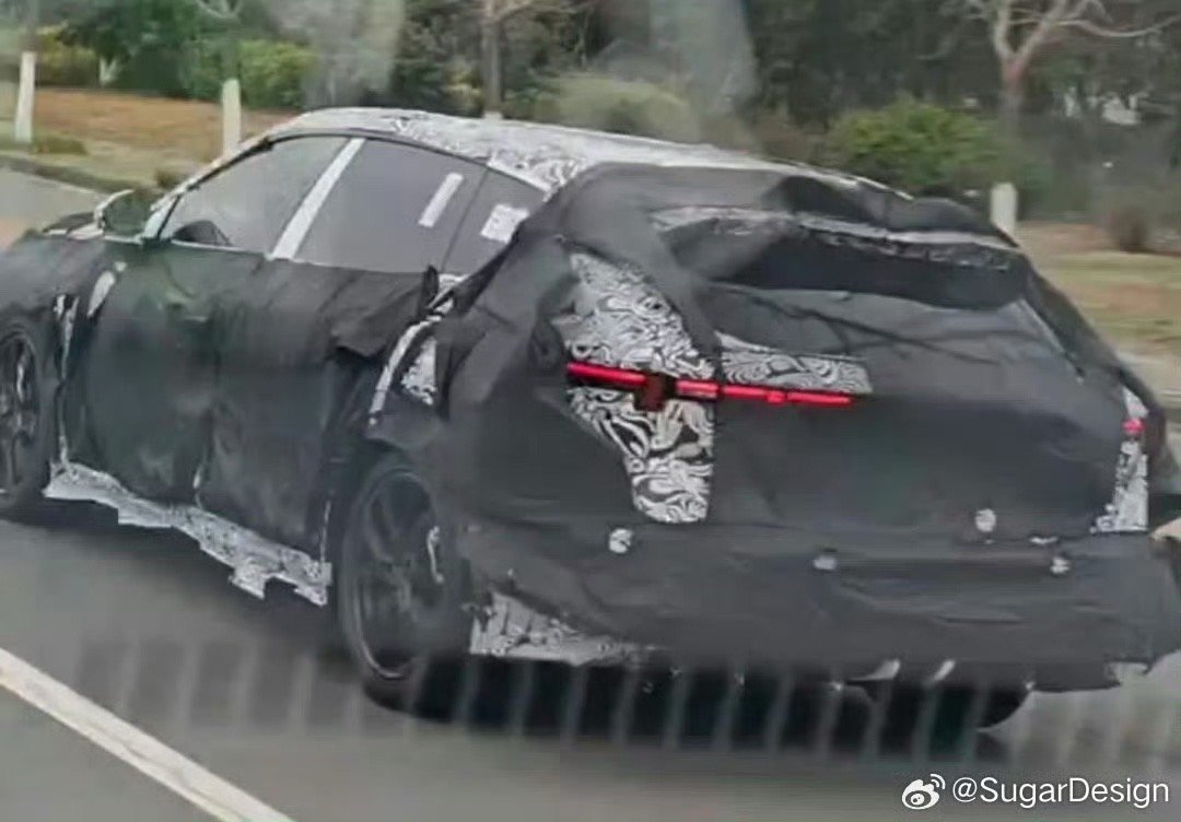 图来自糖总，可惜还是看不清D柱造型。理论上这部分不作妖，至少能和ET5T、06T