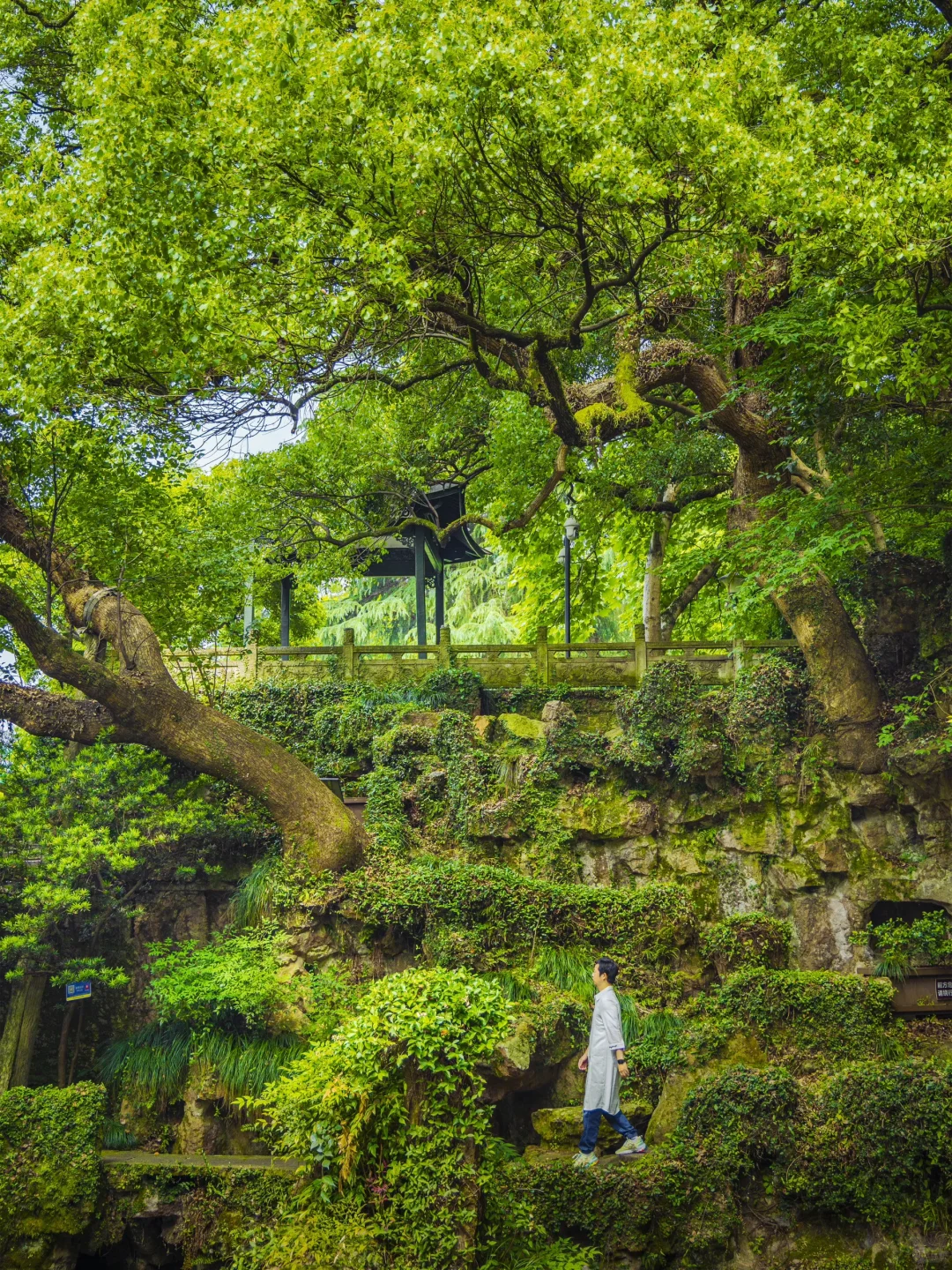 西湖天下景：竟藏着一个不为人知的秘境❗️