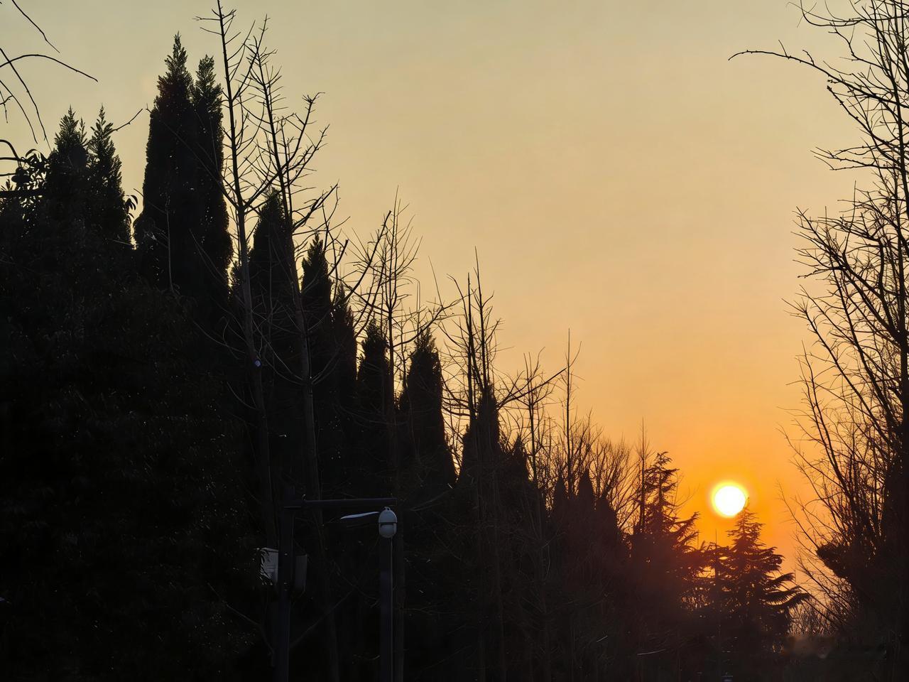 分享一张最近随手拍的照片