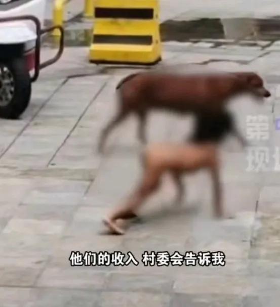 “野人孩子”这事透着那么怪，

看了好多媒体介绍，孩子父母对孩子不存在虐待，不打