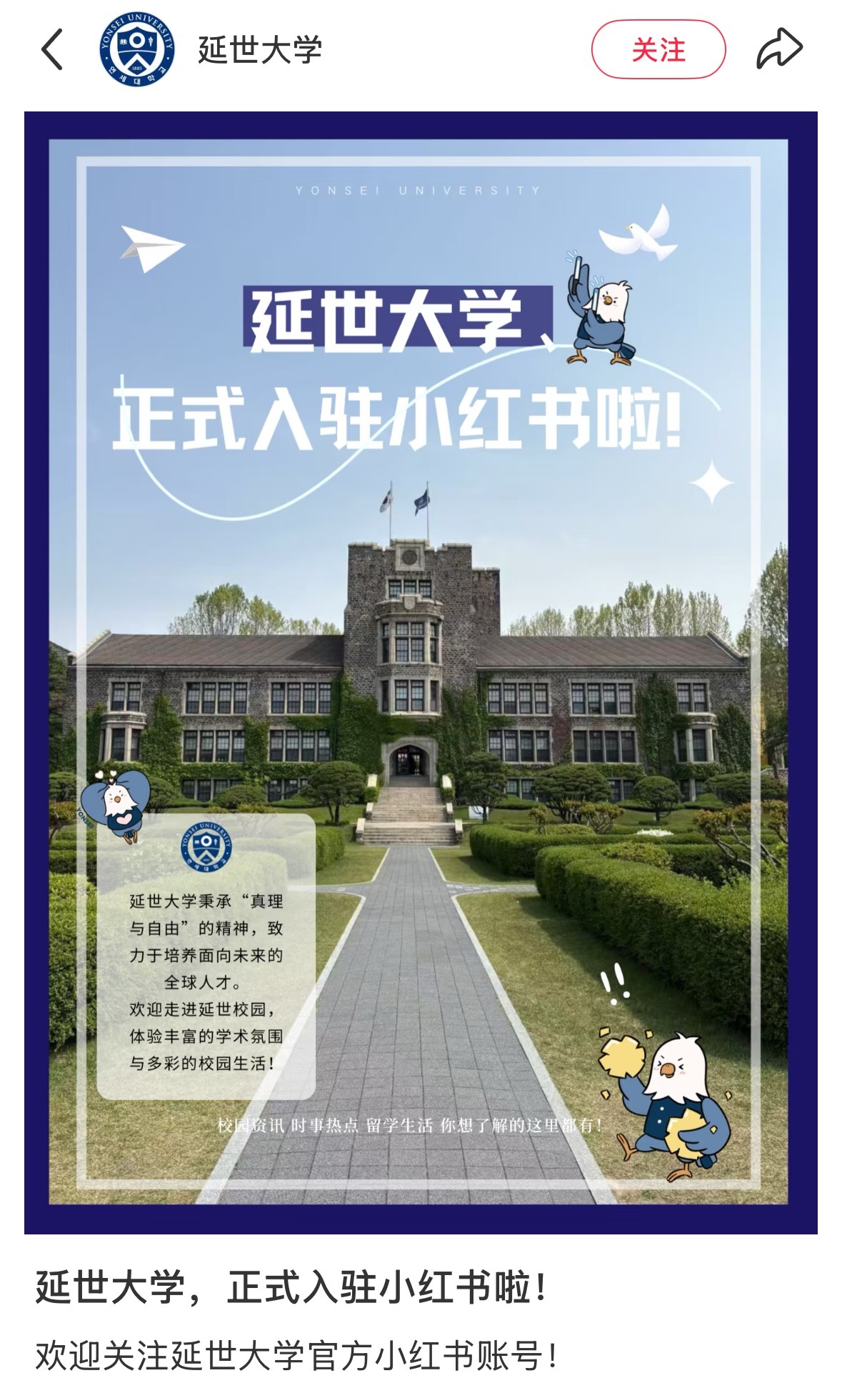 延世大学也入驻小红🍠了 ​​​