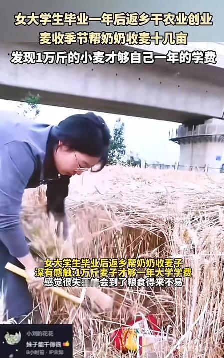 泪目！安徽阜阳，女大学生回老家帮奶奶收割麦子，干着干着却哭了！奶奶以为她累着了，