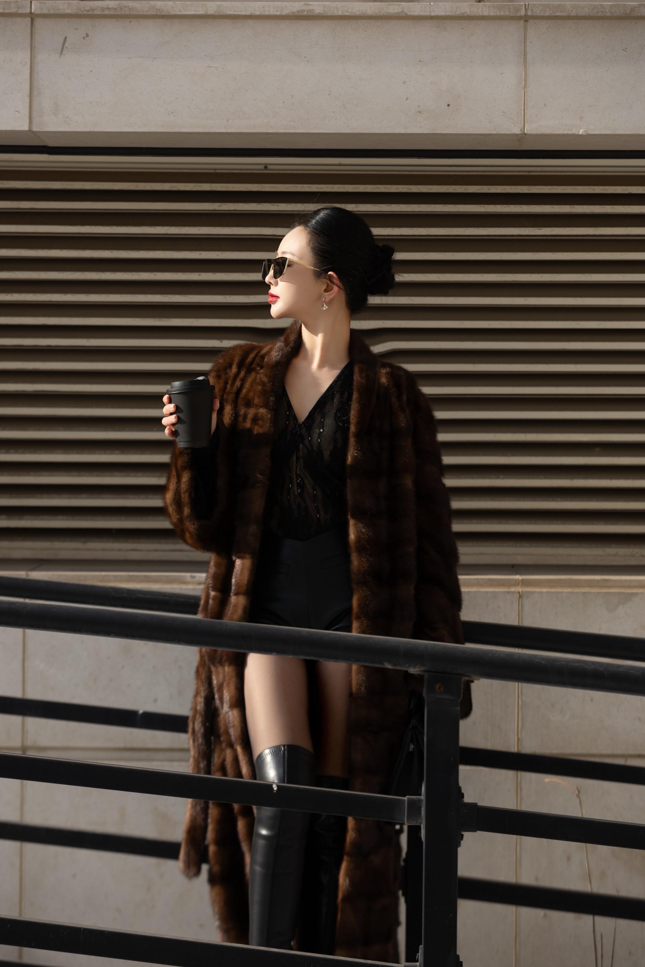 发着光的 黑金加拿大🇨🇦野生貂