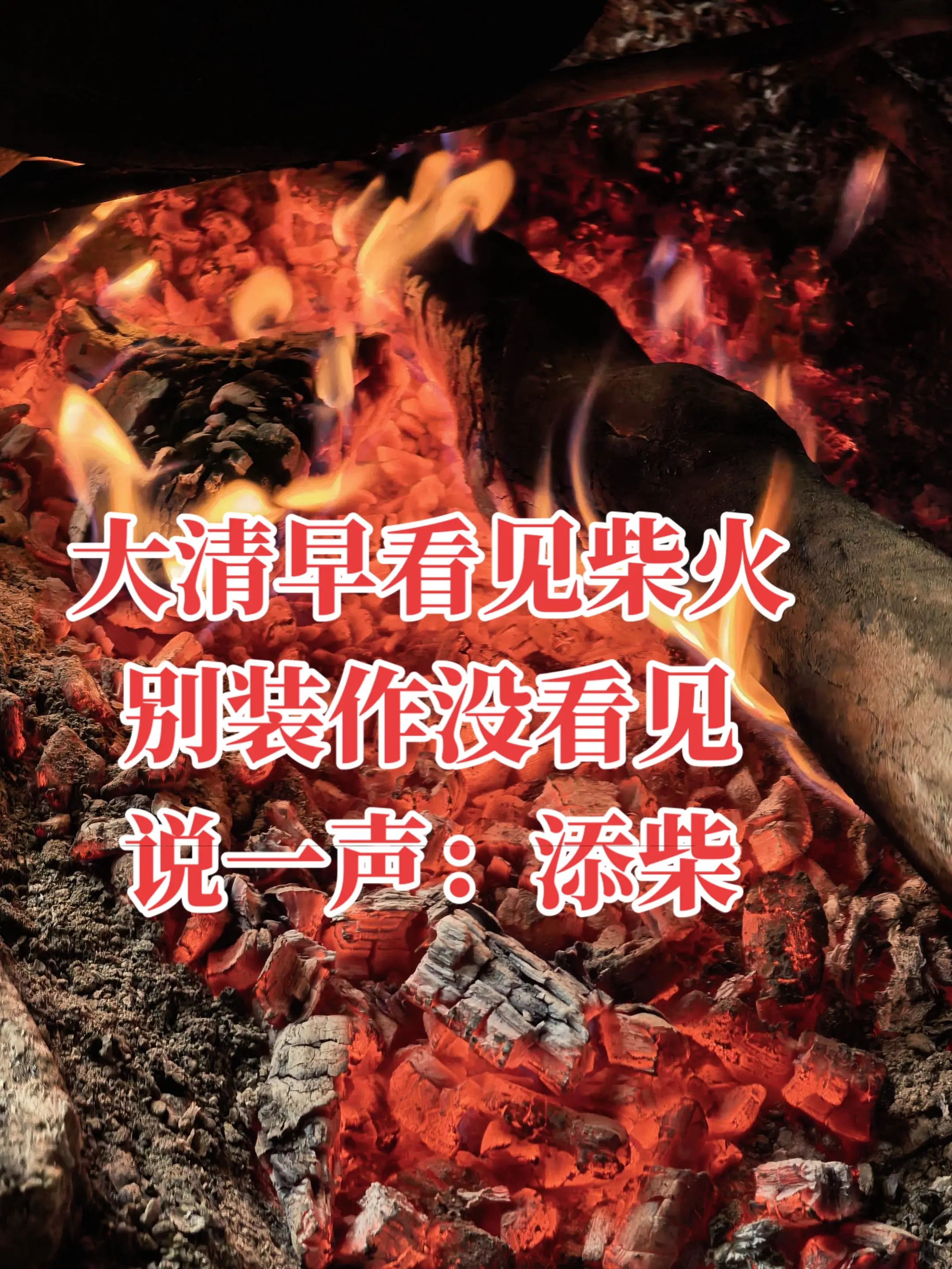 大清早遇见柴火，别装作没看见！说声～来财