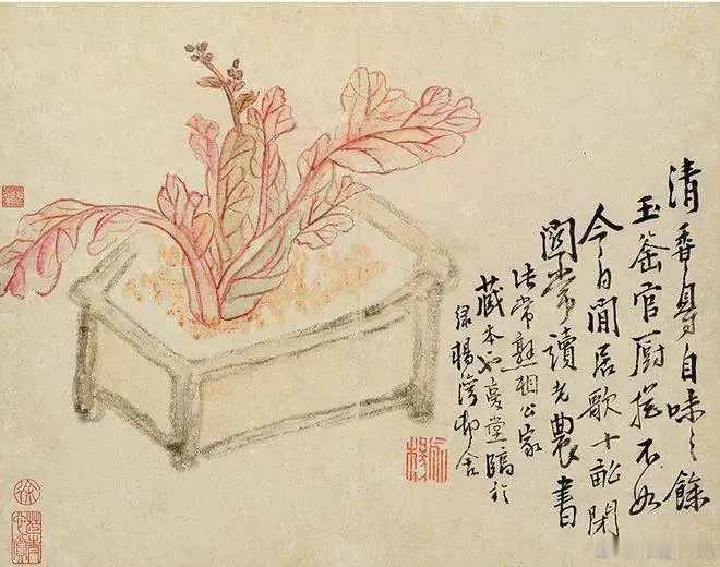 李鱓《花鸟草虫册》。李鱓（1686-约1762），字宗扬，号复堂，江苏兴化人。乾