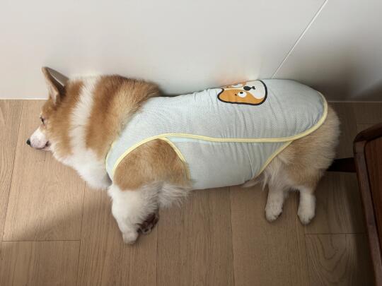 姐姐说这件衣服 显瘦
