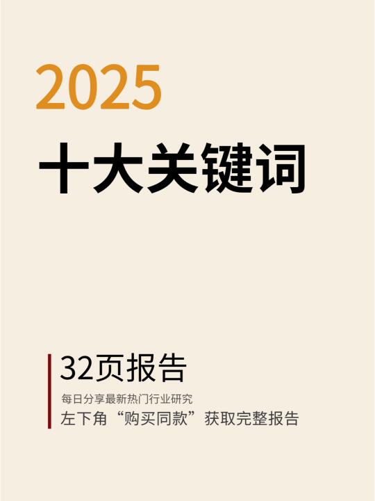 2025年十大关键词