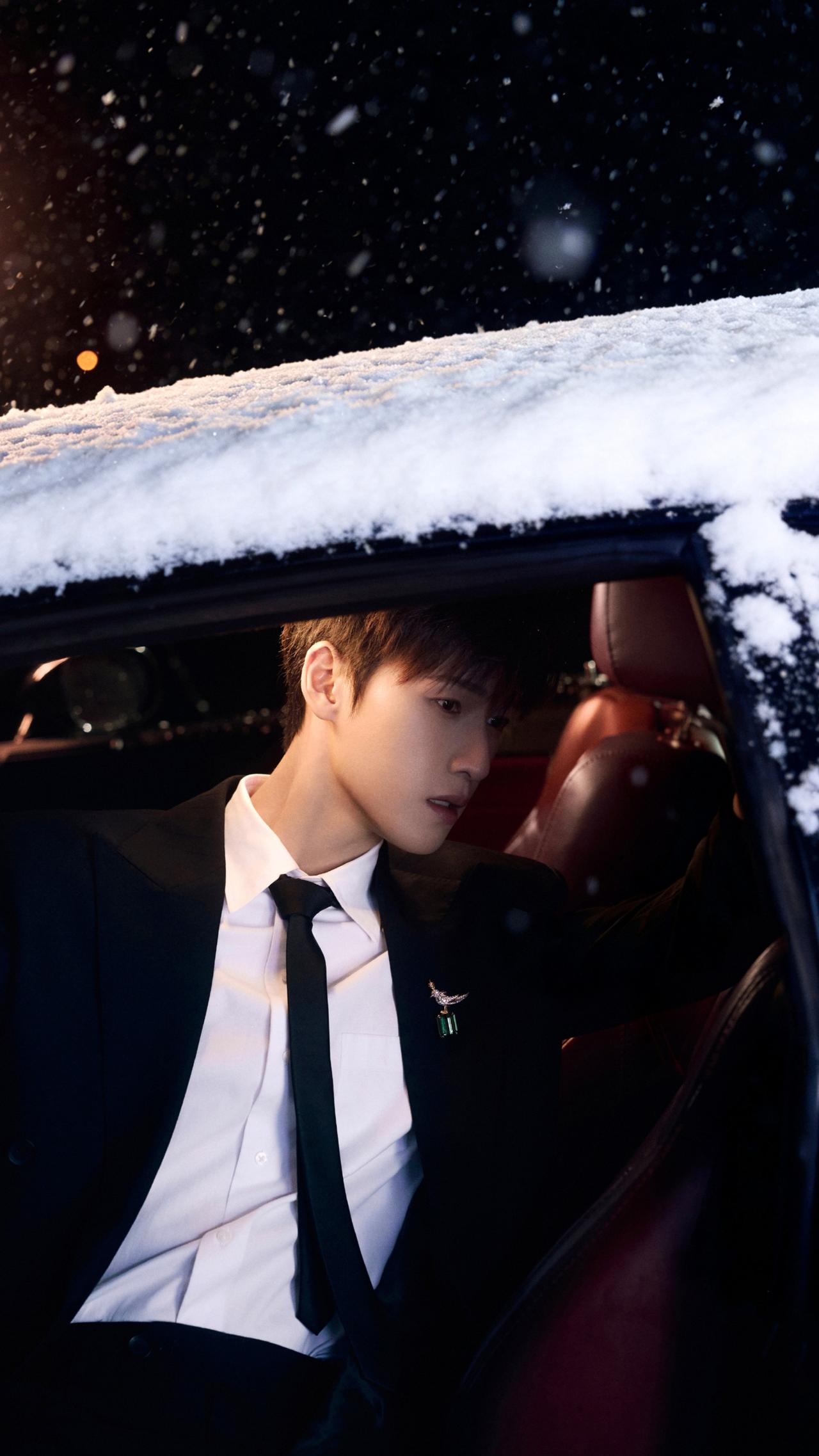 请用一句话概括一下，什么是幸福家人的陪伴到老，无病无灾无难到安详离世。