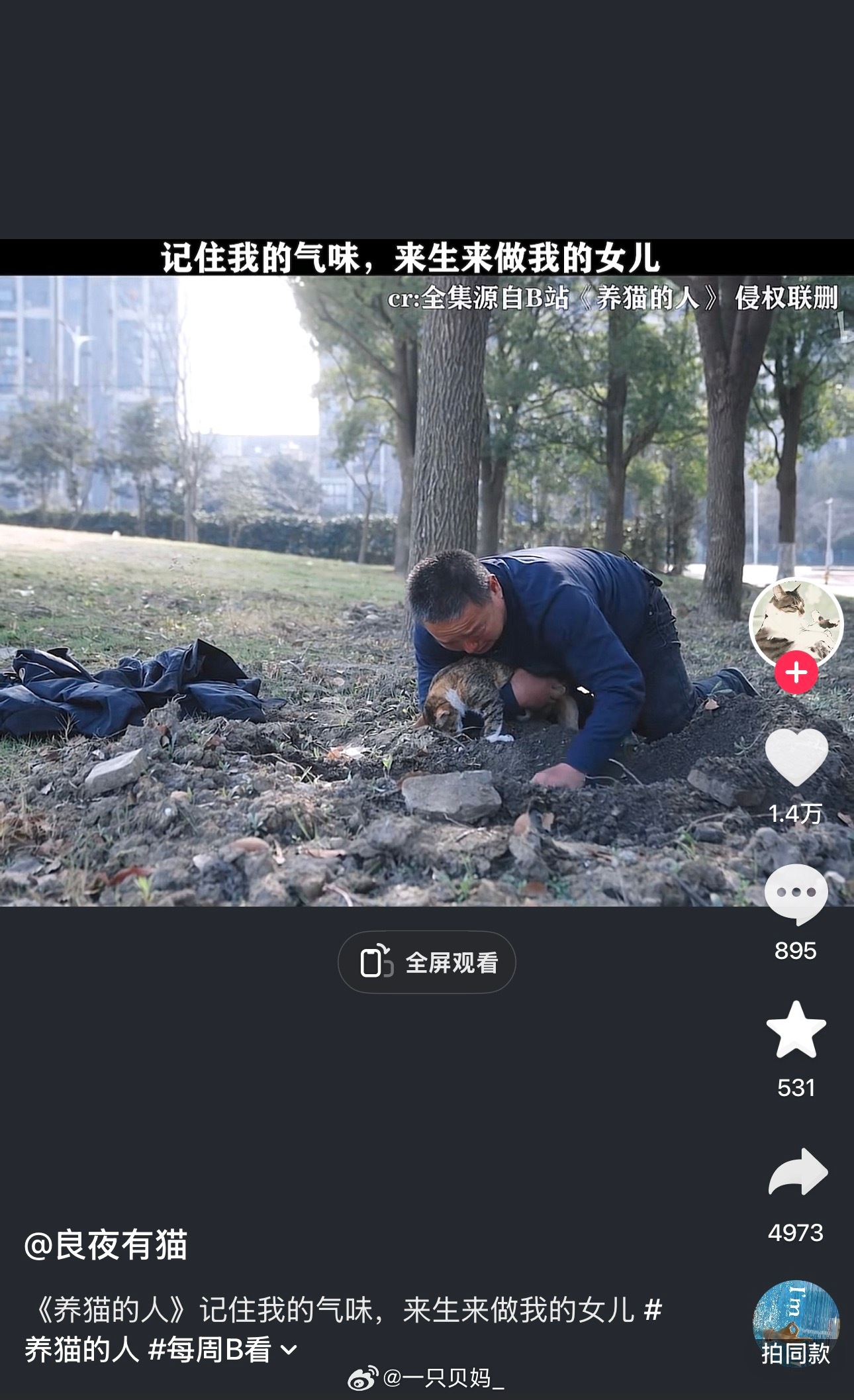 养猫的的人看不得这个。我又想起来独自坐在宠物医院台阶上的那个夜晚。猫的身体已经软