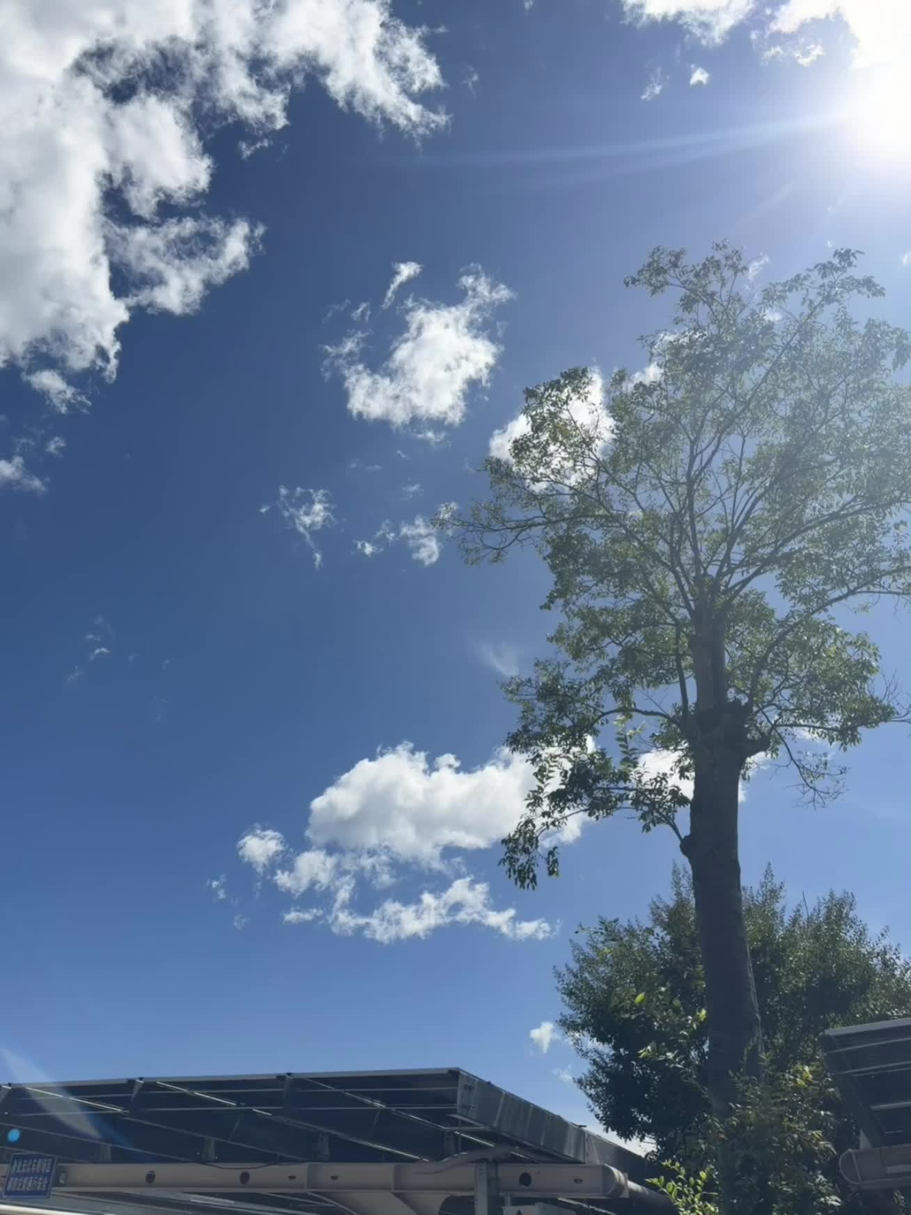 云南的朋友嘴这么严吗 怎么不说你们这里这么干净这么美！太喜欢了