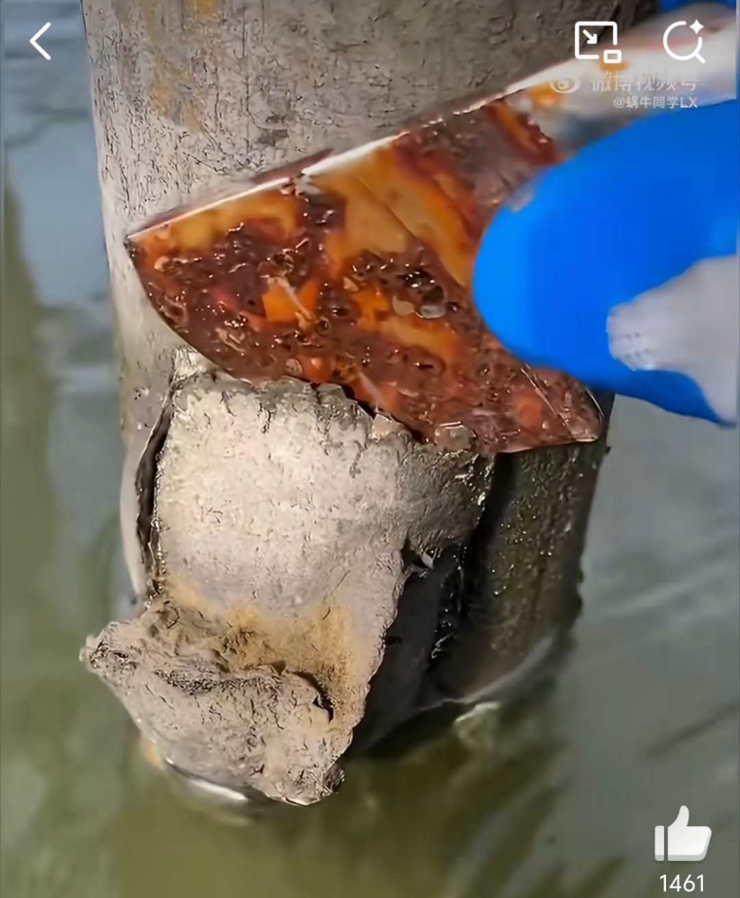 生蚝伪装被识破这伪装术在吃货眼里全是破绽 