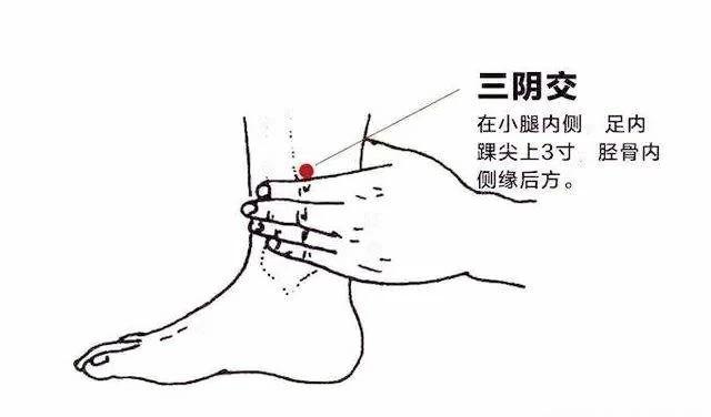 揭秘三阴交穴：中老年人必学的养生秘诀，五大惊喜变化等你发现！

你是否常常感到咽