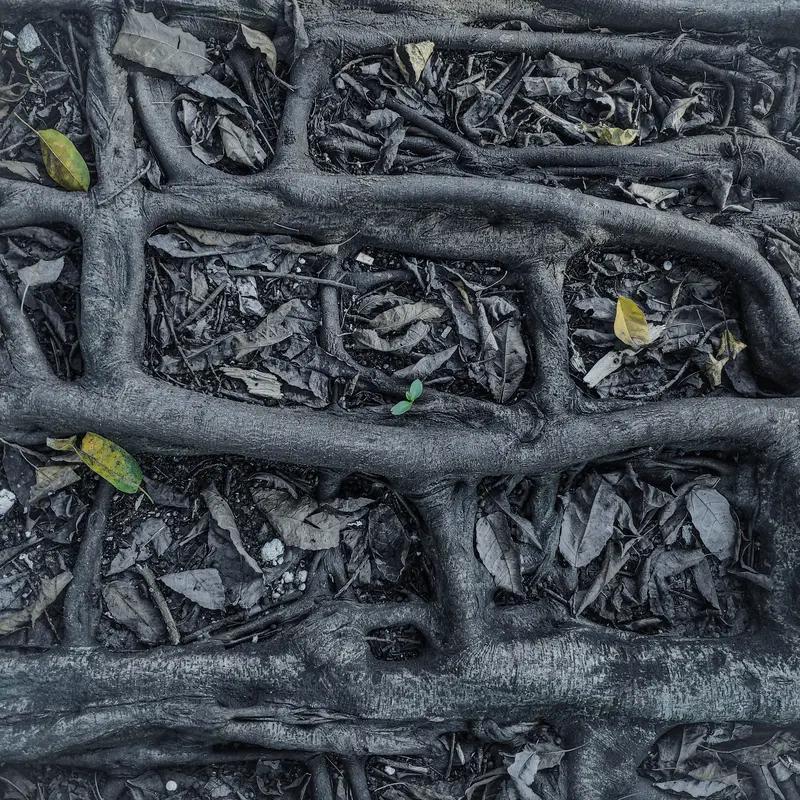 新时代的我们，为什么总感觉生活越忙越迷茫？清晨被闹钟惊醒，还未完全清醒，手指便已