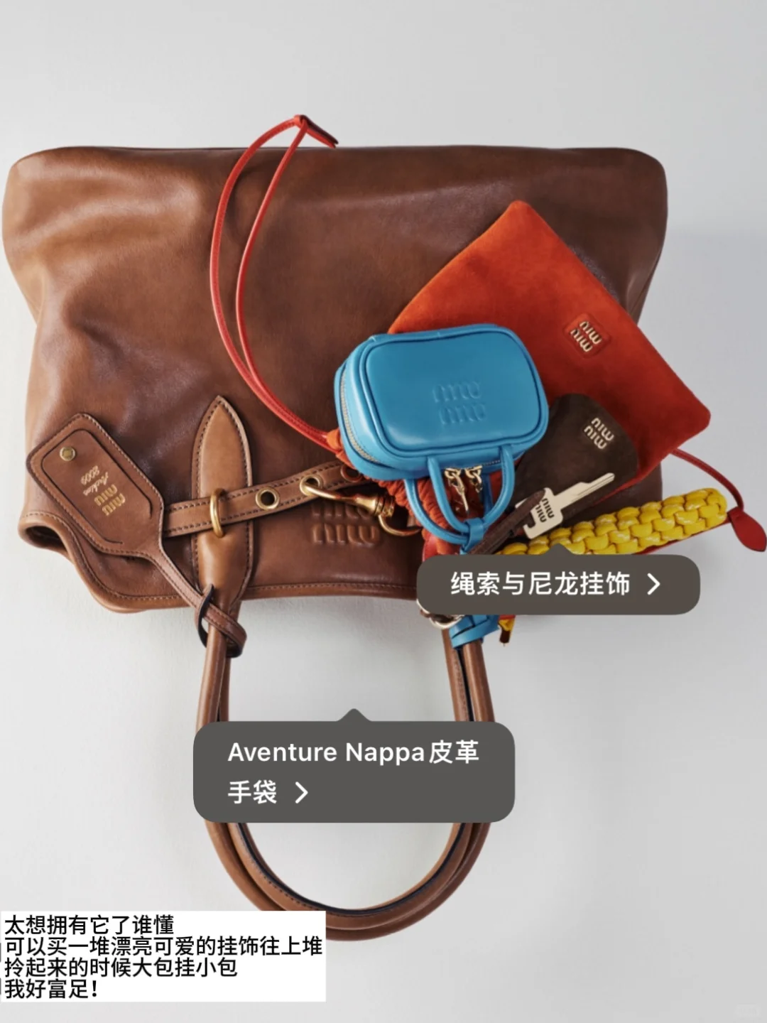 如果有一天我变得很有钱 miumiu你在劫难逃