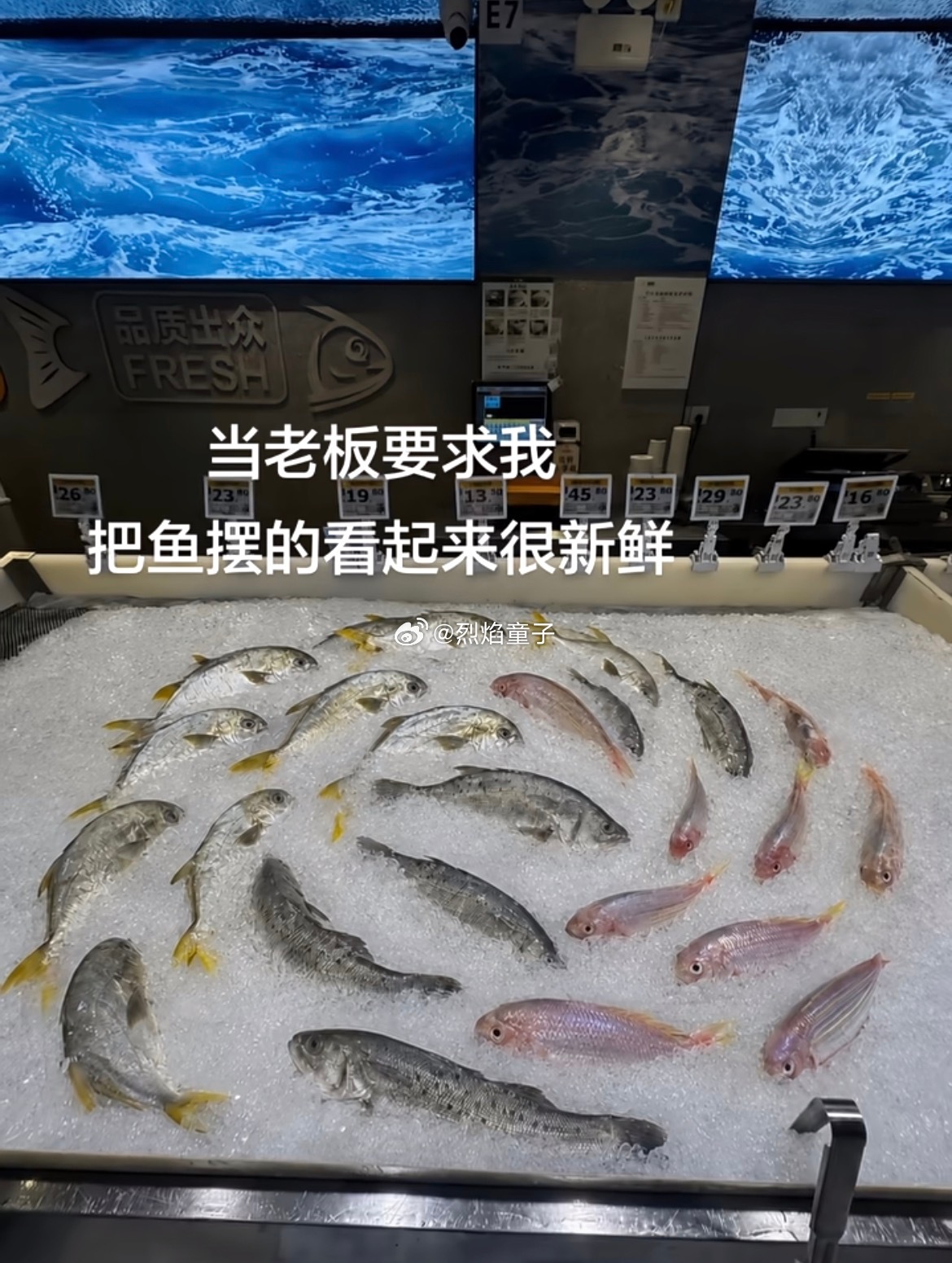 实话实说像图里这样摆，确实比那种同一种鱼摆成一排的，看起来更有购买欲，有想上手抓