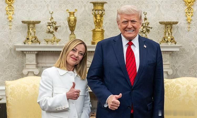 欧媒，乔治亚·梅洛尼： “意大利政府对特朗普总统的言论感到震惊，特朗普声称北约盟