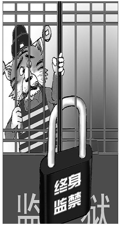 在死刑缓期执行二年期满依法减为无期徒刑后，终身监禁，不得减刑、假释。这就是事实上