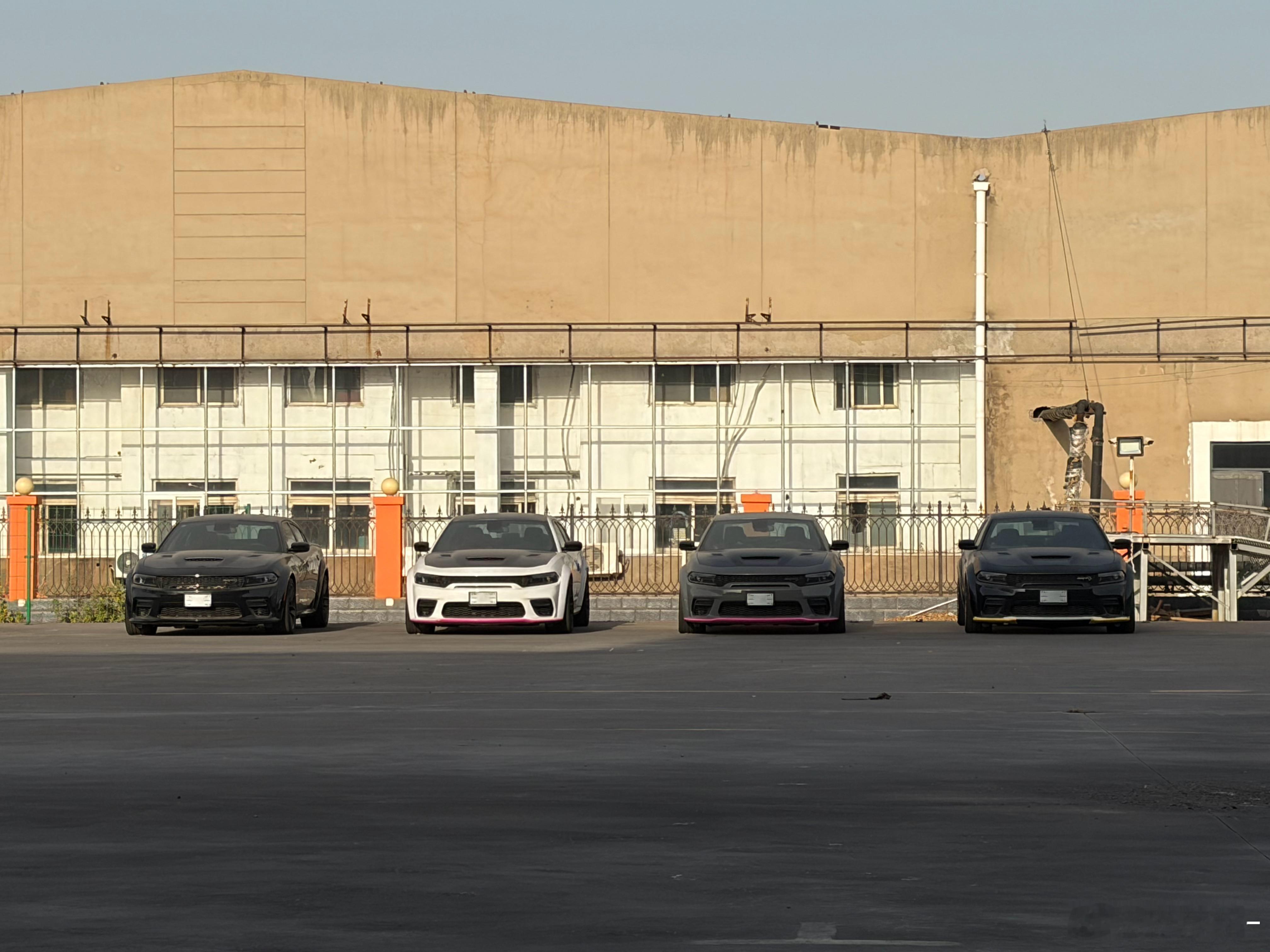 道奇战马比地狱猫还小众，成本也没地狱猫便宜所以…… 落点灰也正常 