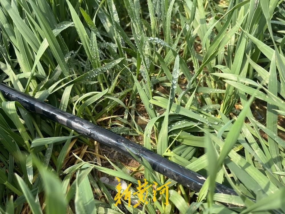 农事催人忙，不负好春光。眼下，泉城大地的春耕一线，田间地头机声隆隆，一幅以科技为