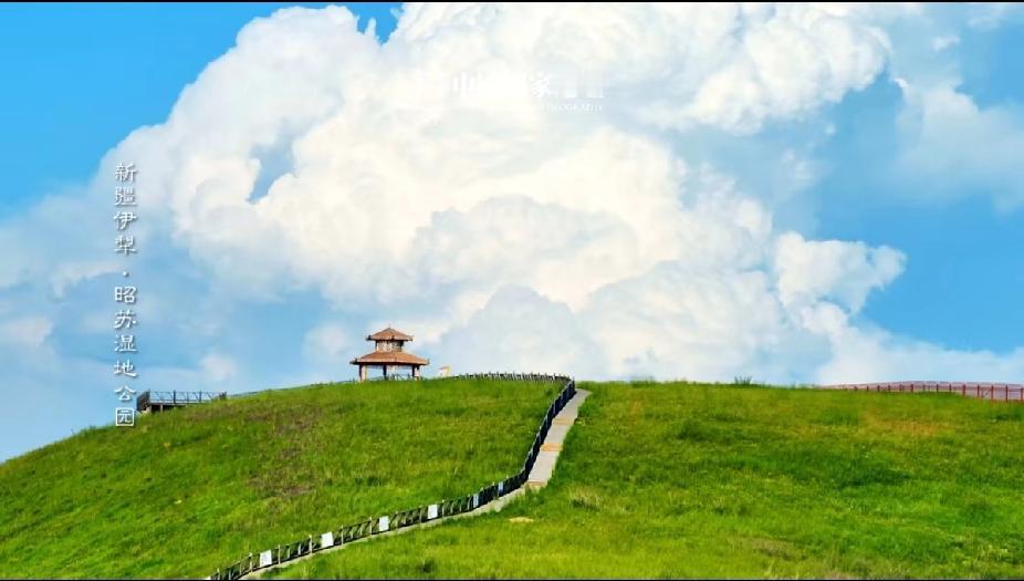 立夏之日，天地始交，万物并秀。
       立夏，预示着孟夏时节的正式开始，各