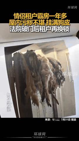 陕西西安，一房东好心将200平米的房子租给一对情侣，合同期满后，他们不仅一年多未
