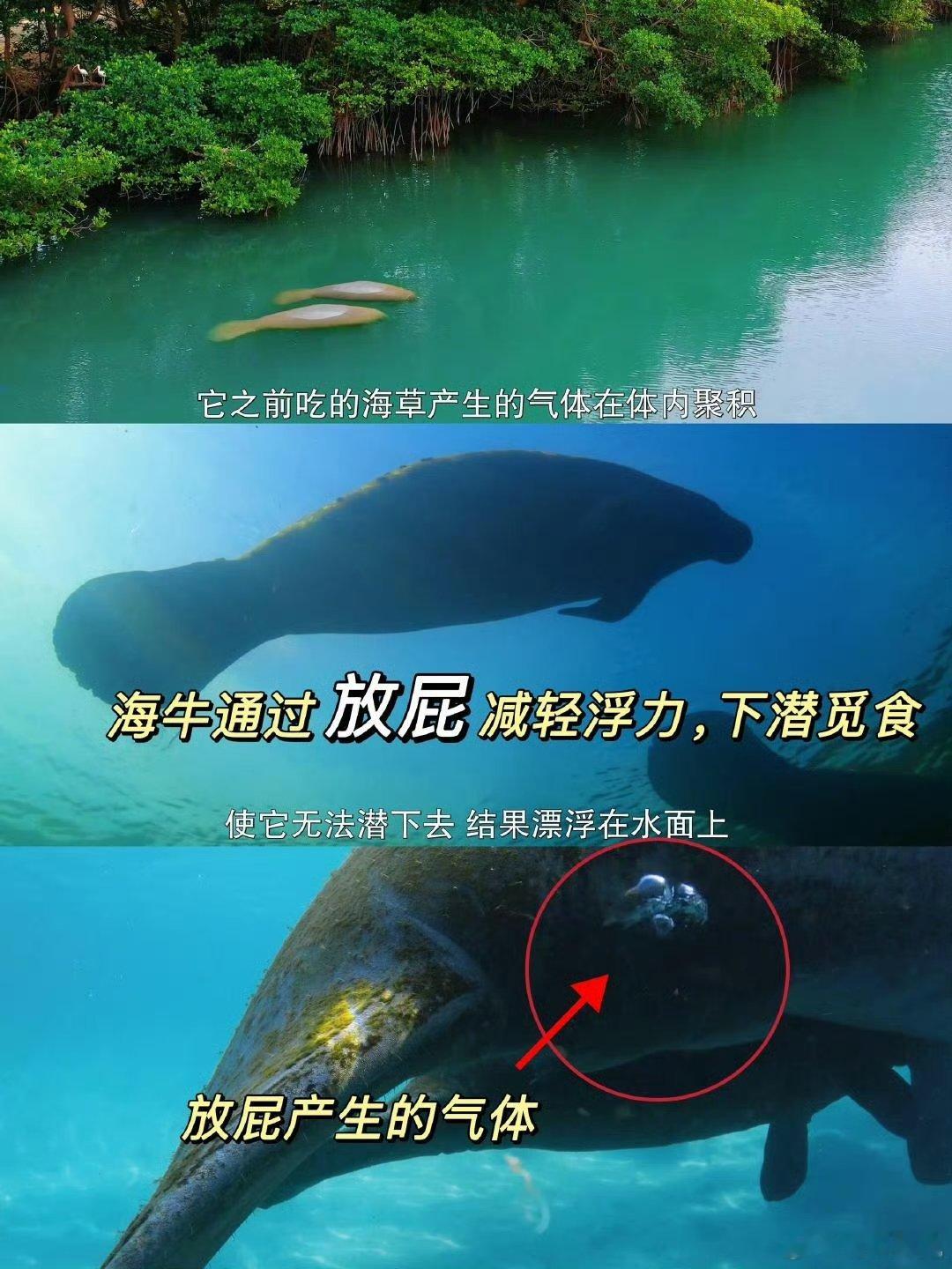 谁懂废柴逆袭的含金量 当这个话题与一部精彩纪录片碰撞，就像开启了一扇通往奇幻逆袭