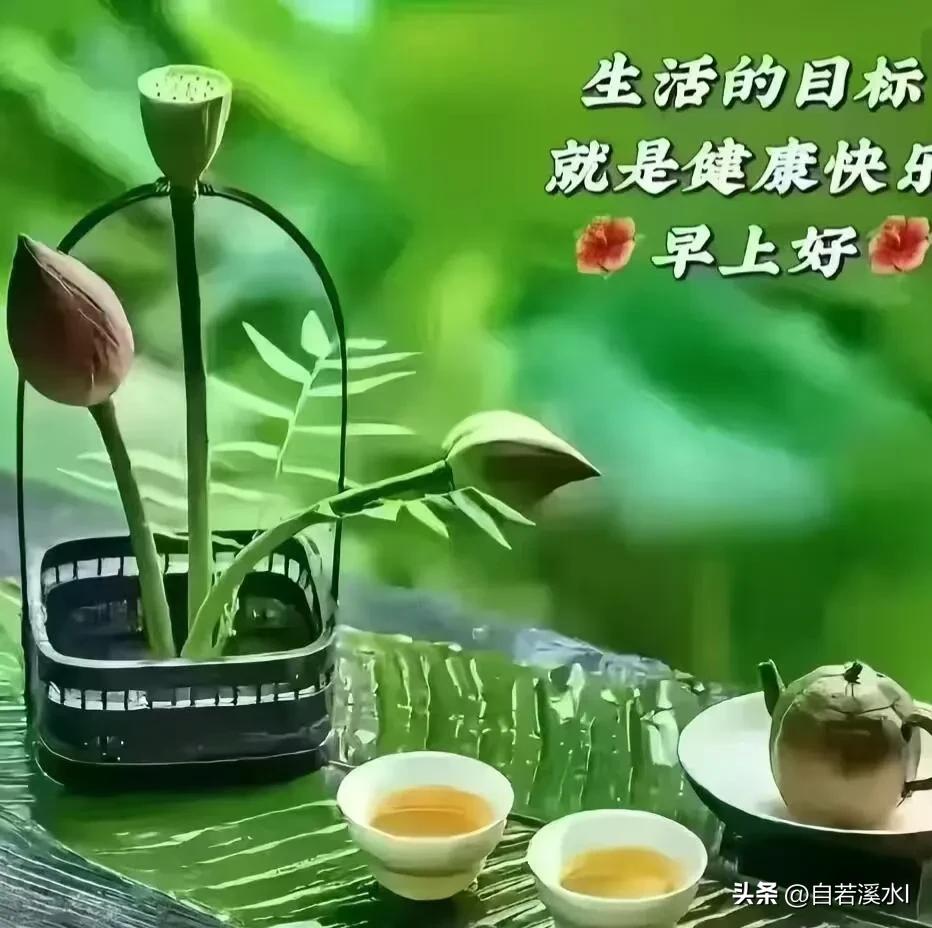㇏ 清晨的温柔都分给你，愿你没有疲惫，只有舒心。