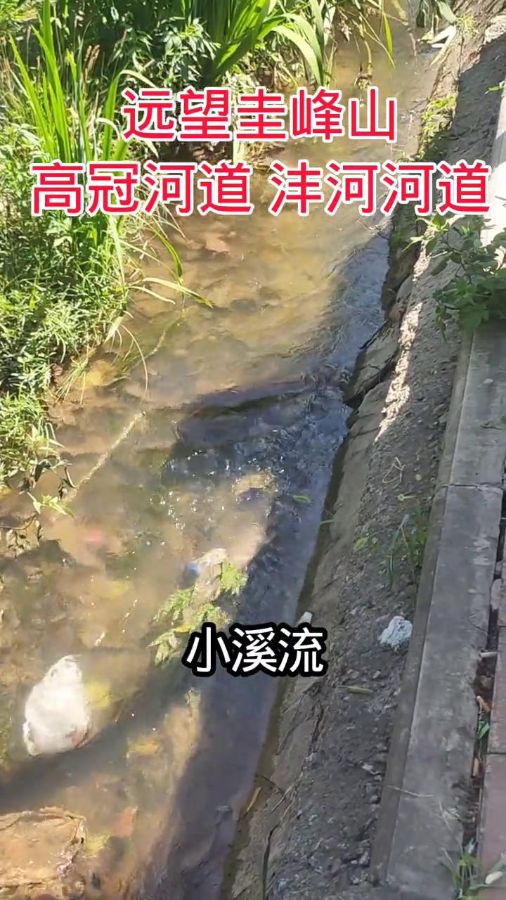 远望圭峰山，高冠河道、沣河河道、沣峪河道。
远处的圭峰山，近处的小溪流，这些水应