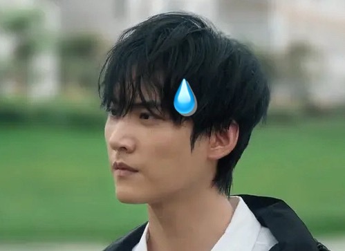 我看见花絮belike : 