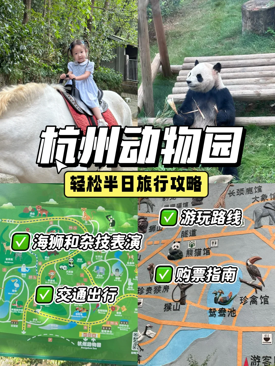 杭州动物园半日zui全攻略‼️看这篇足矣