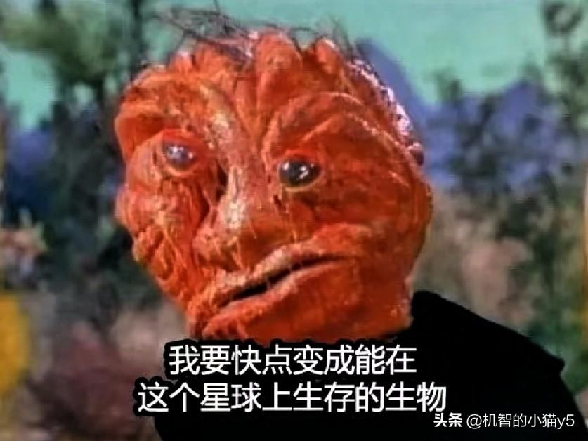 现在网络上所谓的网红越来越多，有些为了流量真是无所不用其极，打法律擦边球的现象屡