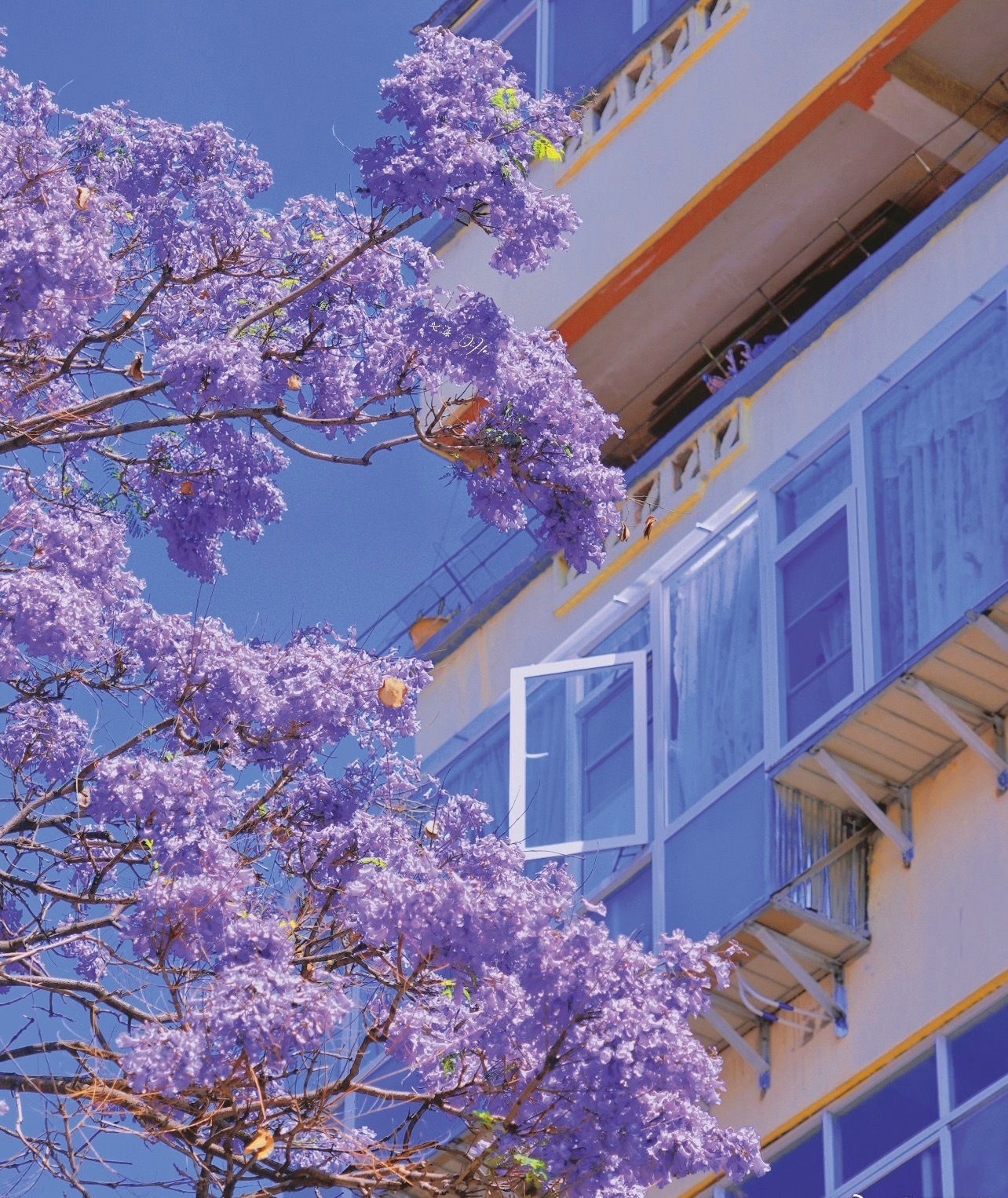 新疆的作息时间太适合年轻人了终于找到年轻人的旅行乌托邦！新 疆时差完美适配晚睡星