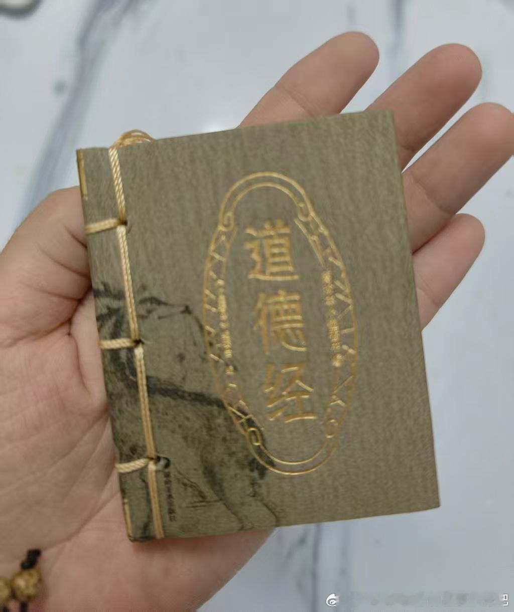 道心很稳手握道德经，面对不道德的人要道德的回击，猫说它很小，可是它内耗大着呢 