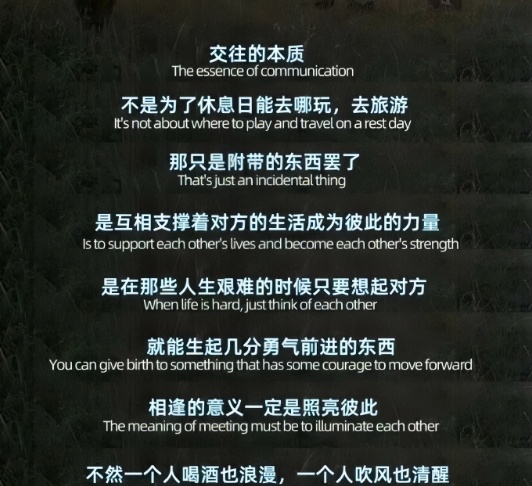 相逢的意义一定是照亮彼此 ​​​