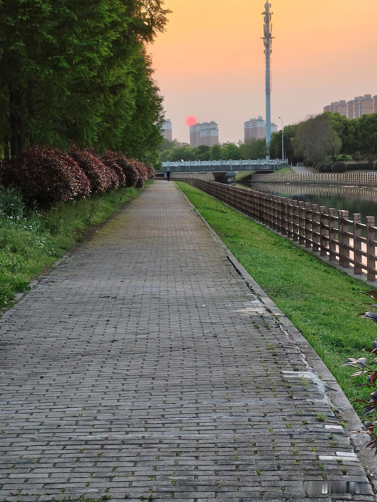 晒图笔记大赛夕阳无限好
