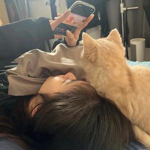 幼儿园抢饭第一