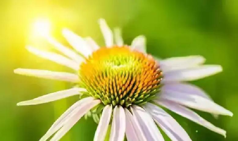 想拉近人脉、提升贵人运？别急着请客，先改改这3个饭桌坏习惯，就能省下无谓社交成本