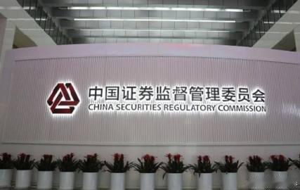 【证监会部署打击和防范上市公司财务造假专项行动】打击和防范上市公司财务造假 4月