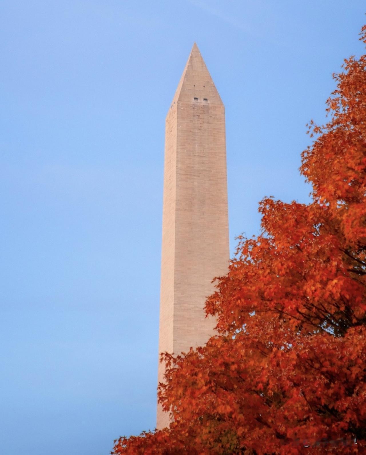 The Washington Monument peeking through 