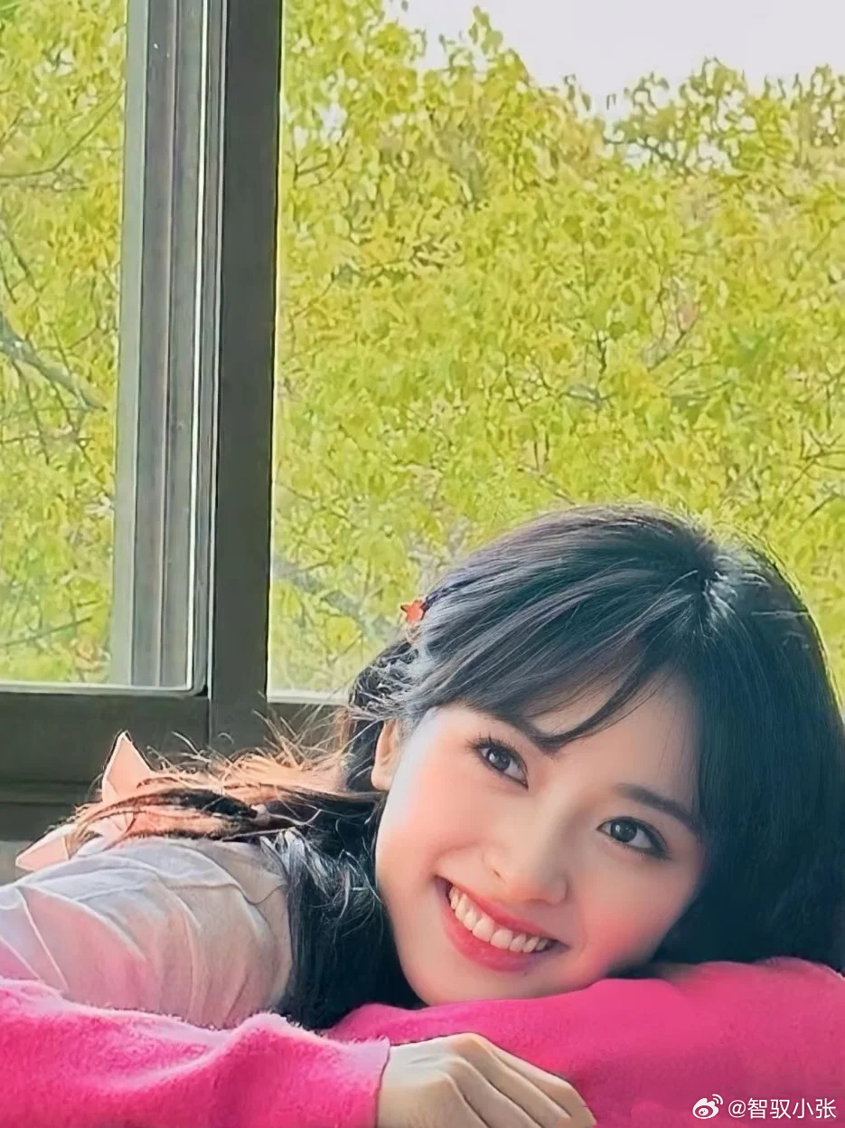 沈月我只喜欢纯粹的好人王鹤棣经纪人朋友圈 看过沈月的vlog觉得她是很真诚纯粹的