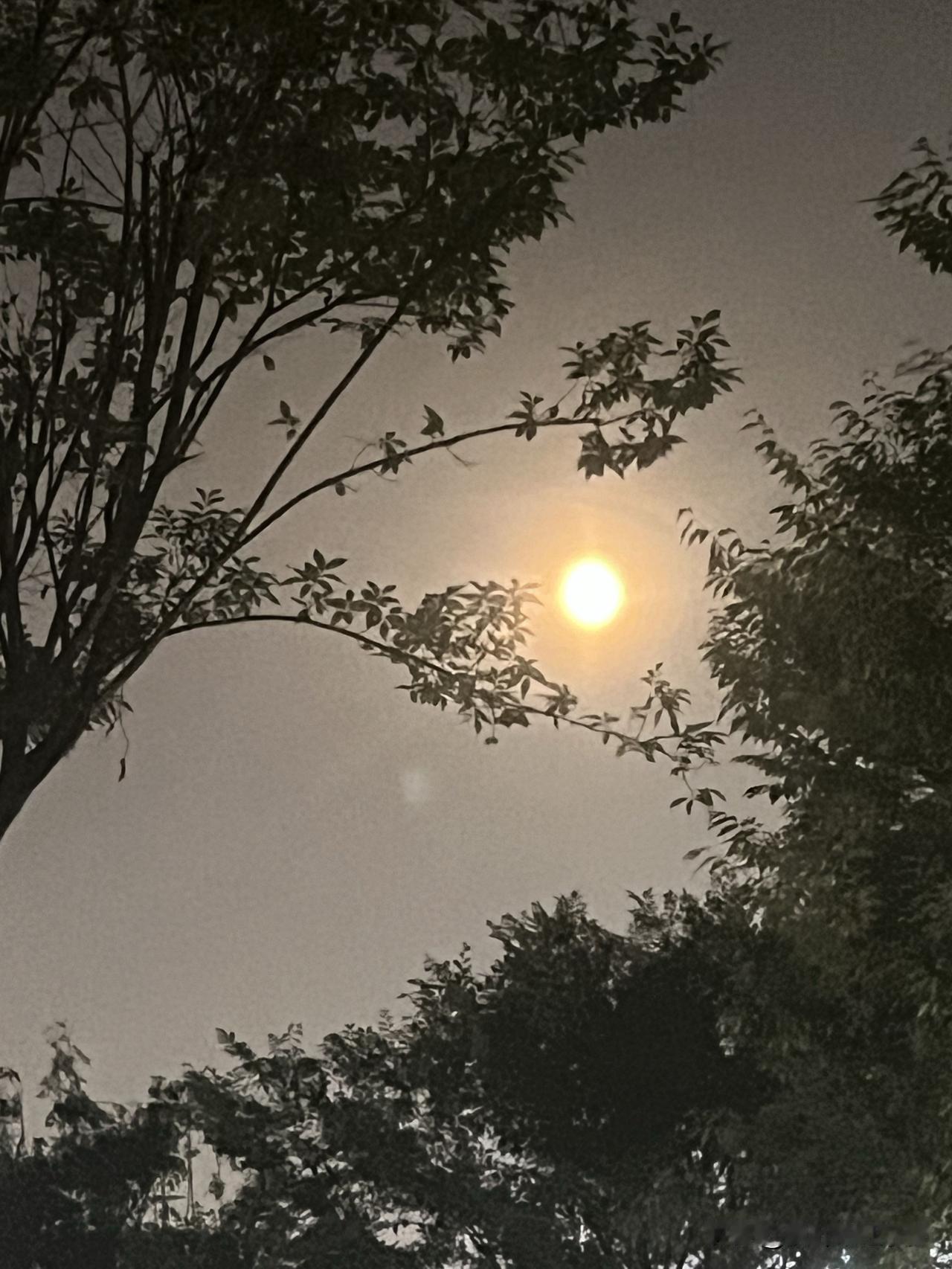 有段特别人间清醒的话：“想要多活几年，重要的不是吃好喝好，也不是拼命运动，而是尽