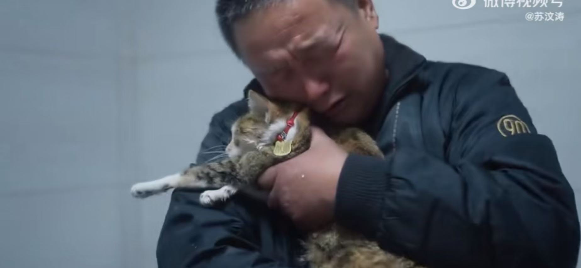 卡车司机对猫猫说来生做我女儿 用猫猫刀杀我真的是让人泪流满面！看到了卡车司机和猫