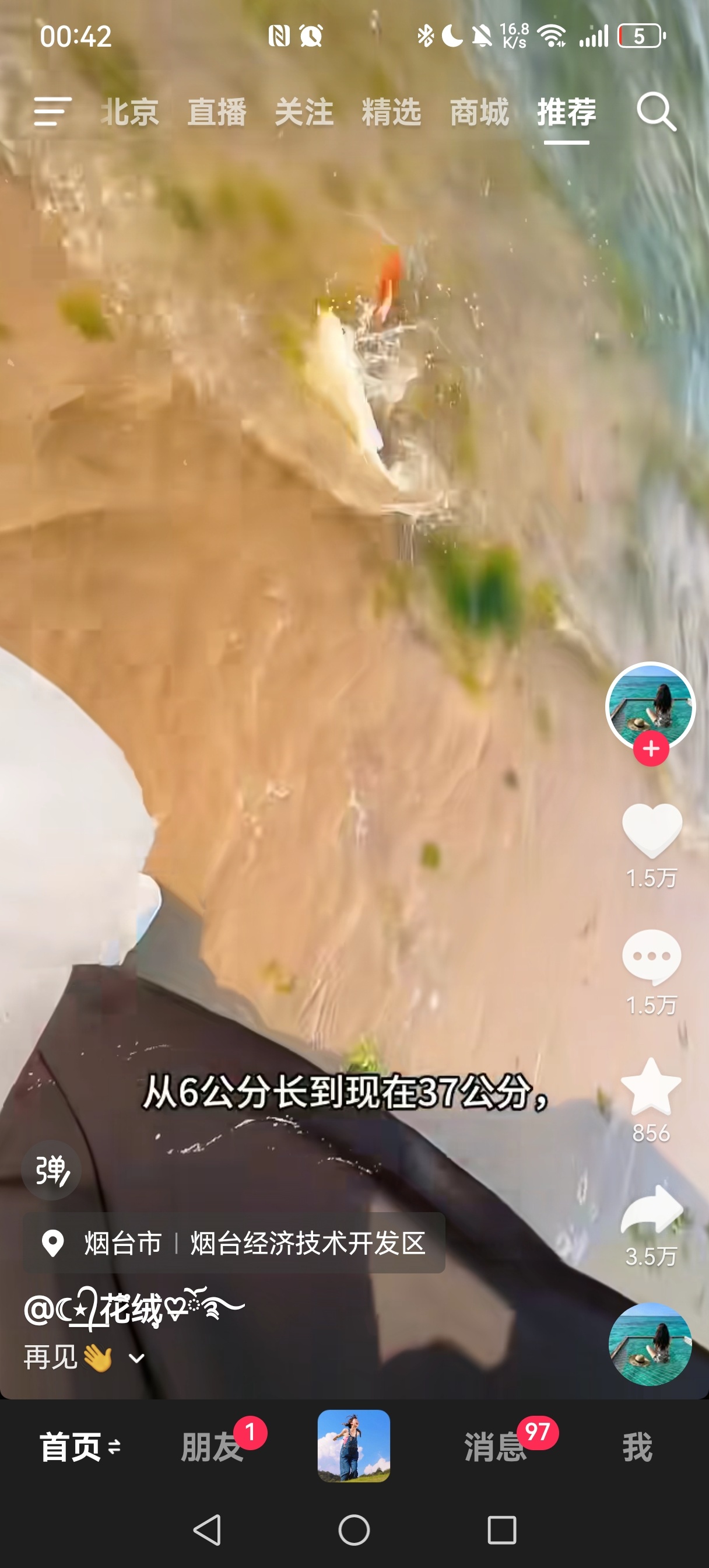 鉴定为小鲤鱼历险记看多了…… 