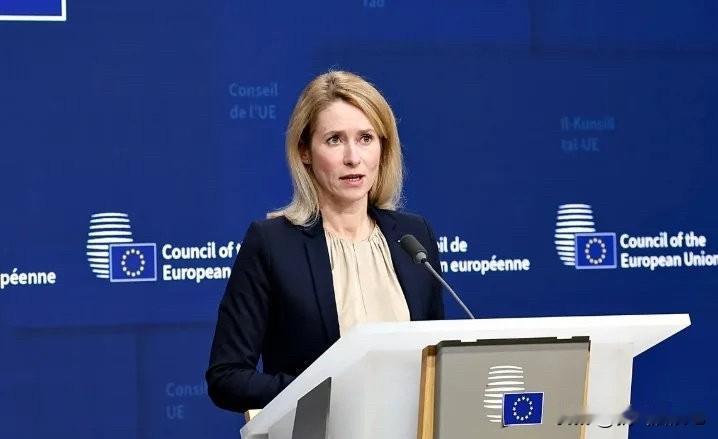 欧盟外交与安全政策高级代表卡娅·卡拉斯就美国对欧洲公民及官员实施旅行限制一事作出