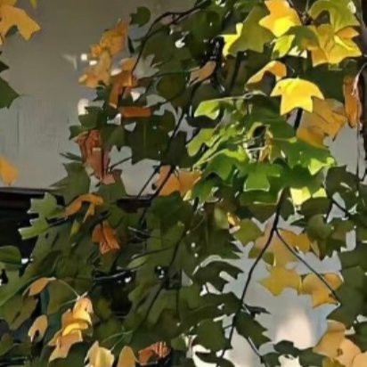 人人存善念，并能日行一善，则个人、家庭、社会一定安乐祥和。这世上，有时笑笑人家，